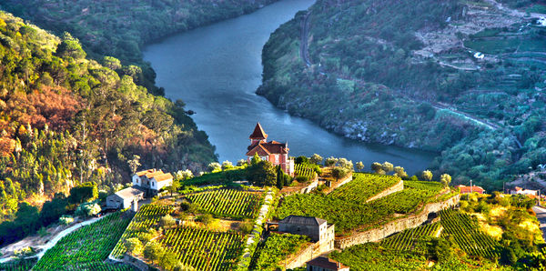 River Cruise on Douro River
