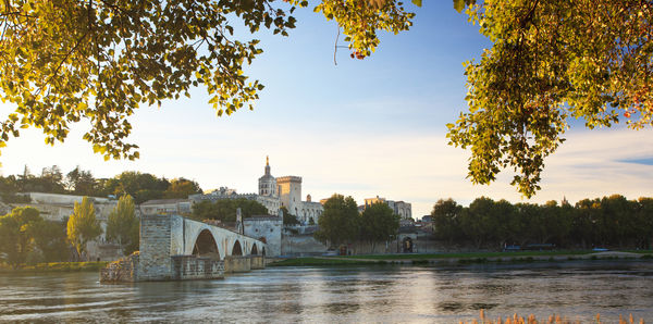 Avignon 