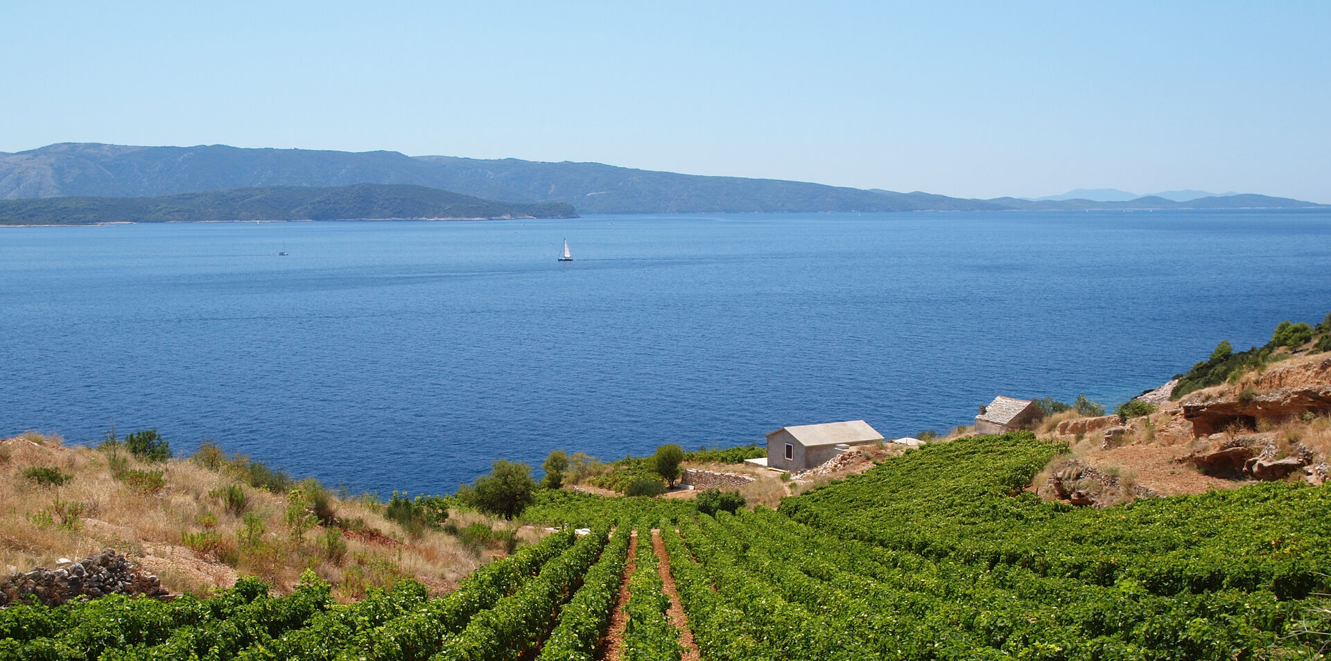 Dalmatian Island Cruising