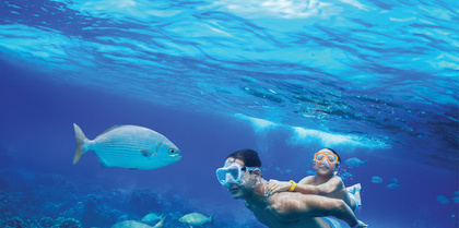 South Pacific swimming